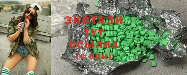 индика Инта