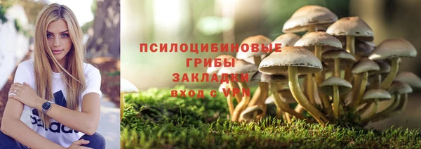 не бодяженный Иннополис