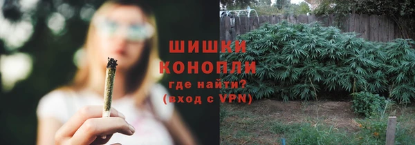 гашик Инсар