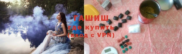 индика Инта