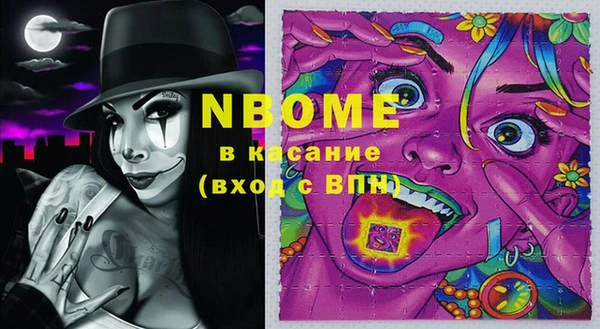 индика Инта