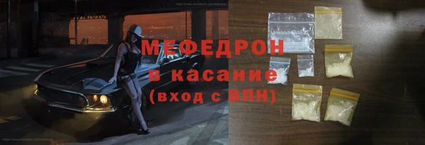 индика Инта