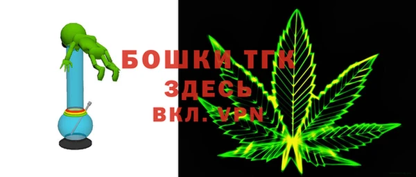 индика Инта