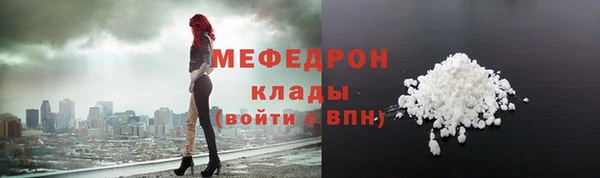 индика Инта