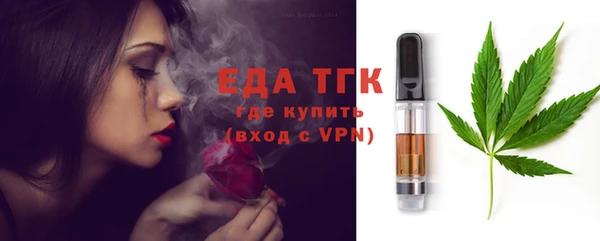 гашик Инсар