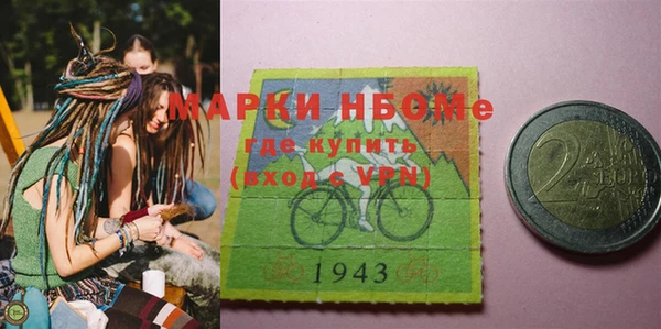 гашик Инсар