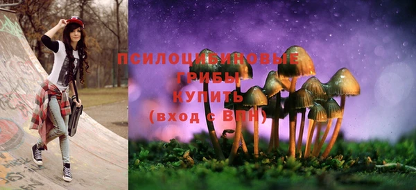 не бодяженный Иннополис
