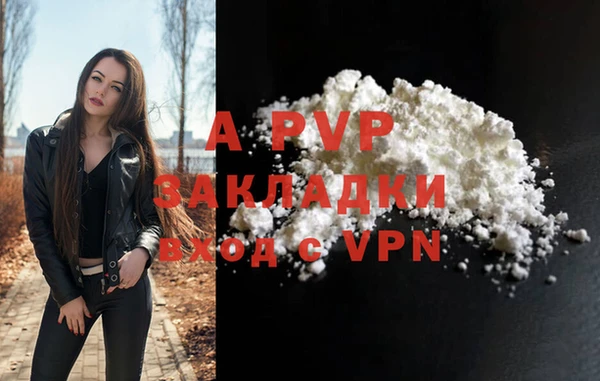 индика Инта