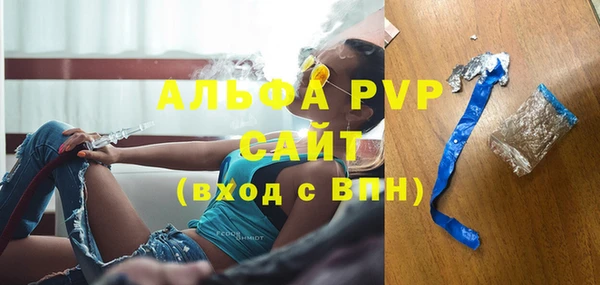 индика Инта