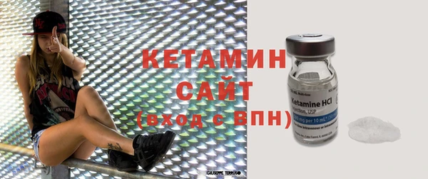 индика Инта