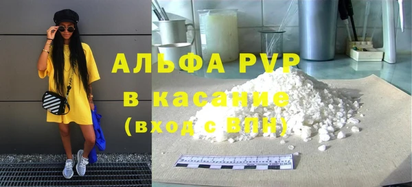 индика Инта