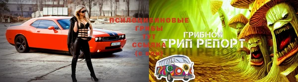 гашик Инсар