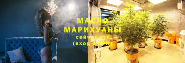 индика Инта