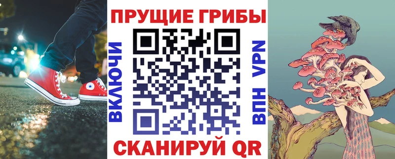 Псилоцибиновые грибы Psilocybine cubensis  цены   Орехово-Зуево 