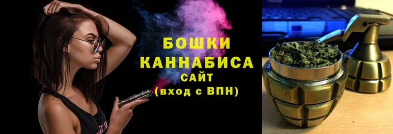 купить наркотик  Орехово-Зуево  Шишки марихуана AK-47 